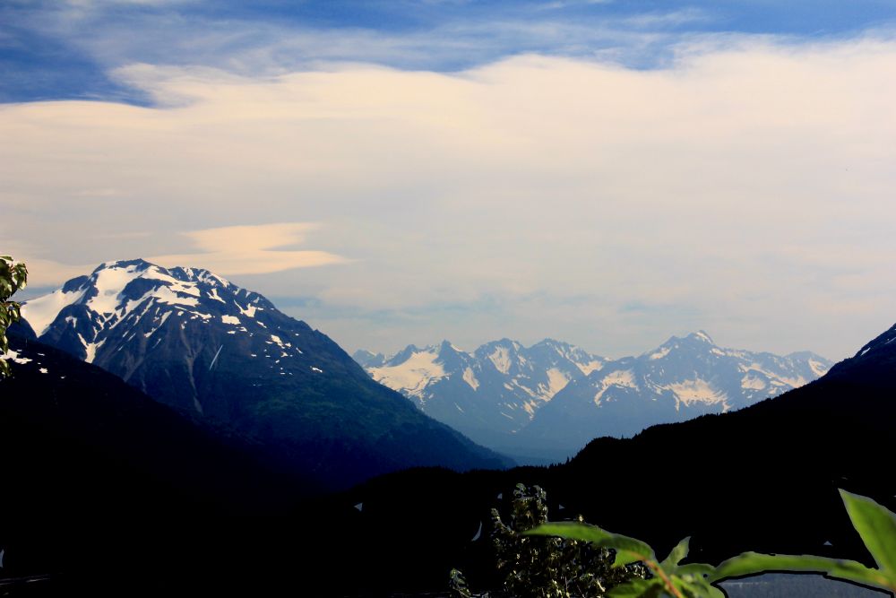 Outlook